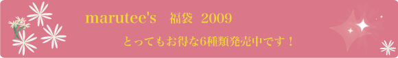 2009幅袋バナー
